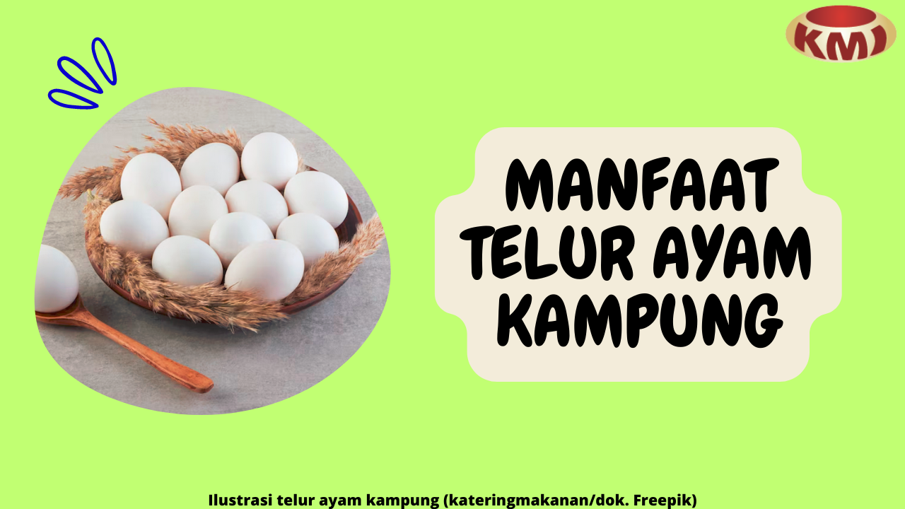 9 Manfaat Telur Ayam Kampung untuk Kesehatan: Kaya Akan Nutrisi