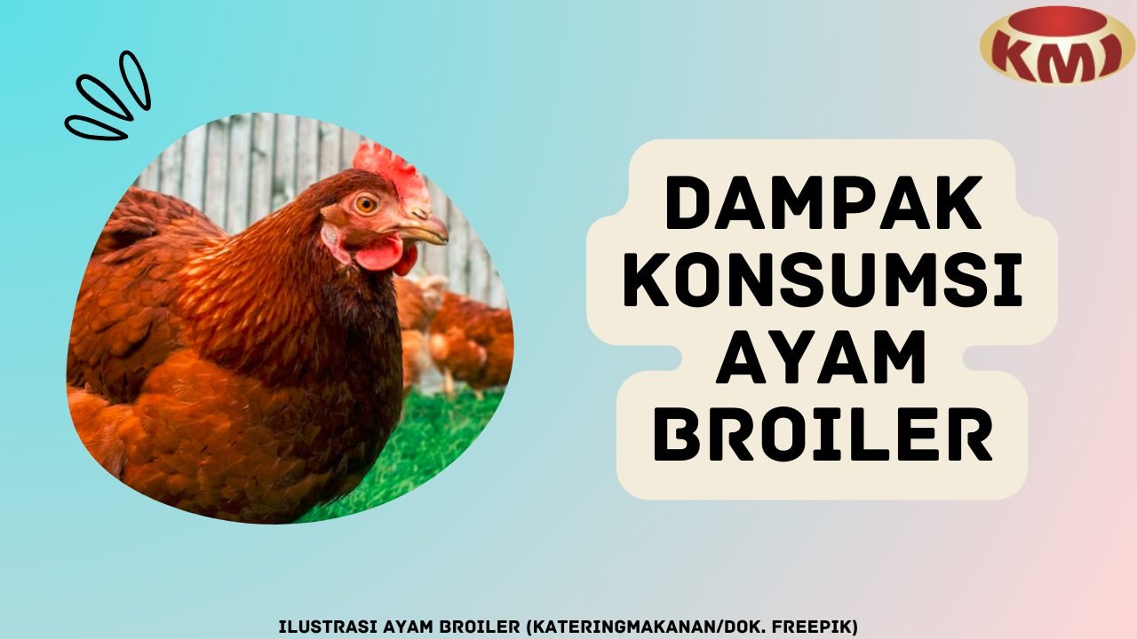 Simak 6 Dampak Konsumsi Ayam Broiler bagi Kesehatan